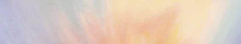 veil-painting-top-791 veil-painting-top-791